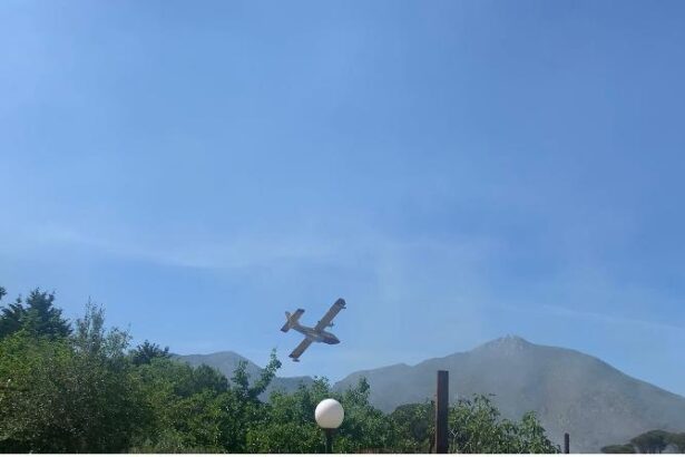 Maxi incendio a Monreale, bruciano boschi e macchia mediterranea Maxi incendio a Monreale, bruciano boschi e macchia mediterranea