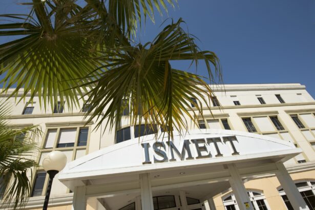Ragazza di 13 anni travolta da un'auto: è all'ISMETT in coma farmacologico Miracolo all'Ismett di Palermo, 11 trapianti in 48 ore salvano la vita a 10 siciliani