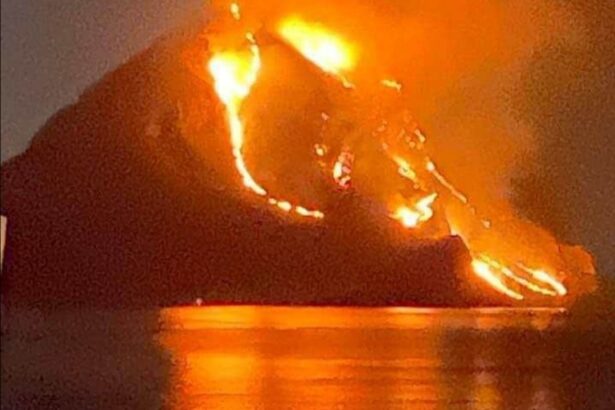 Inferno nel Trapanese, brucia la Riserva di Monte Cofano Inferno nel Trapanese, brucia la Riserva di Monte Cofano