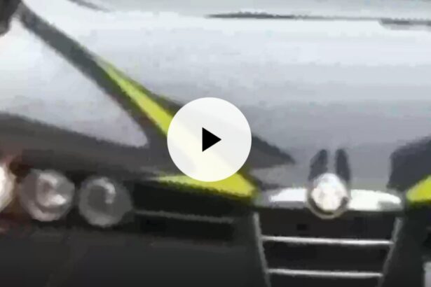 Blitz della Finanza in mezza provincia di Palermo, sequestrati 26 chili di "Cannabis light" (VIDEO) Blitz della Finanza in mezza provincia di Palermo, sequestrati 26 chili di "Cannabis light" (VIDEO)