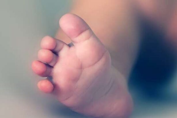 Studente di medicina di Ragusa dona il midollo osseo a un bambino brasiliano di 2 anni con leucemia Bimbo muore nel grembo materno, i genitori denunciano l'ospedale