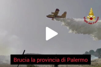 Brucia la provincia di Palermo, roghi da Monreale a Partinico (VIDEO)