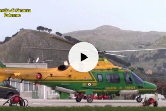 Scoperta a Partinico una piantagione di droga per 100 mila euro