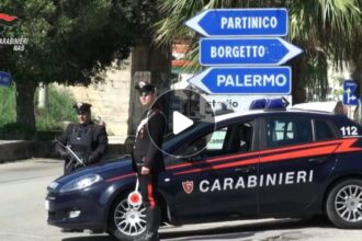 Maxi piantagione di droga a Partinico, arrestato 25enne