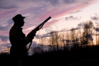 Troppi animali sterminati dagli incendi, nuova sospensione della caccia in Sicilia