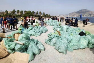 Il Foro Italico di Palermo diventa blu come il mare e 750 volontari lo ripuliscono