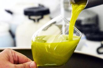 Super annata dell'olio in Sicilia, qualità e quantità al top
