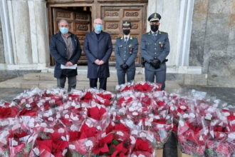 Donate 84 Stelle di Natale sequestrate dalla Finanza a venditore abusivo
