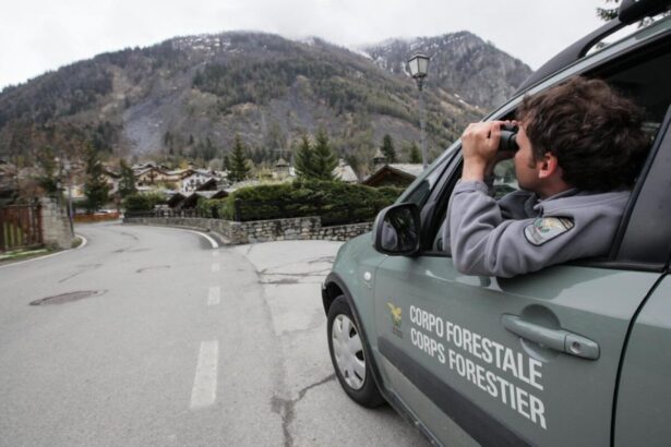 La regione assume 46 Agenti del Corpo Forestale della Regione Siciliana, pubblicato il bando
