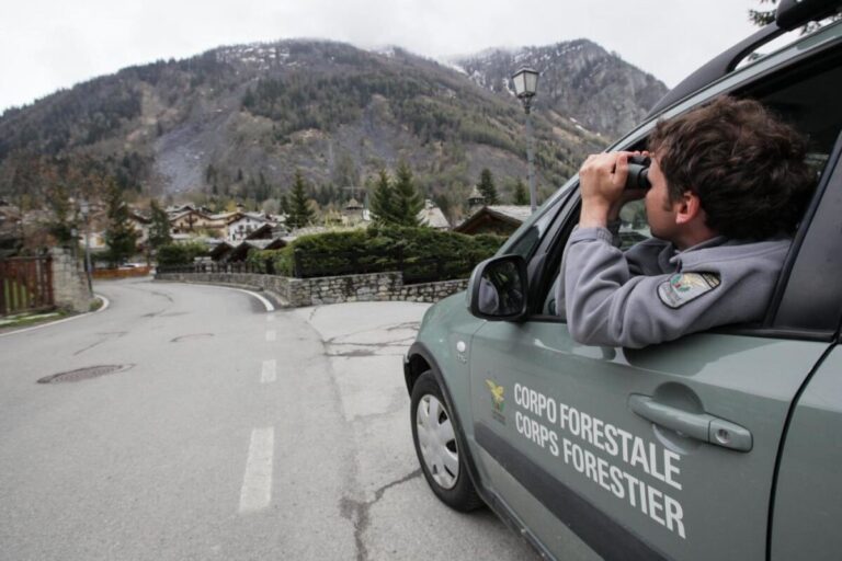 La regione assume 46 Agenti del Corpo Forestale della Regione Siciliana, pubblicato il bando