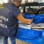 Ambulante fermato dalle Fiamme Gialle, distrutti 23 kg di pesce nel Palermitano