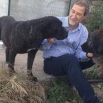In Sicilia sorge la prima clinica veterinaria pubblica