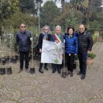 A Corleone la “Giornata Mondiale della Terra”, donate 50 piante di olivo