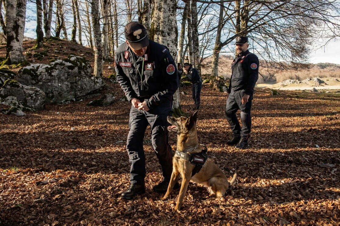 Asia era stata abbandonata in Sicilia, ora è diventata un cane Carabiniere