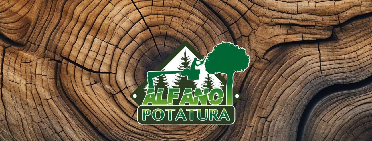 Se sei alla ricerca di un servizio di abbattimento degli alberi a Palermo e provincia, Alfano Potatura è la soluzione ideale per te. Con il nostro ampio parco mezzi e il team altamente specializzato, siamo in grado di soddisfare ogni tua richiesta. Garantiamo un efficace abbattimento degli alberi ad alto fusto e uno smaltimento dei rifiuti in conformità alle normative vigenti, prioritizzando la massima sicurezza.