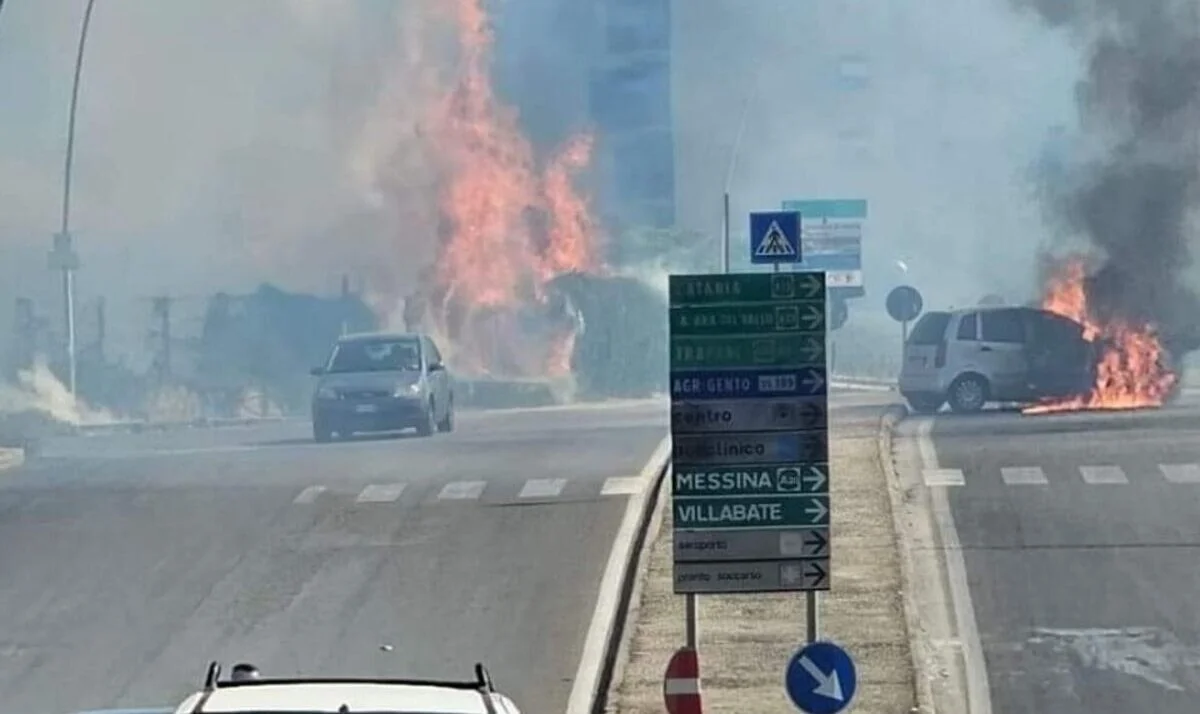 Inferno di fuoco e scirocco a Palermo e provincia: danni e paura