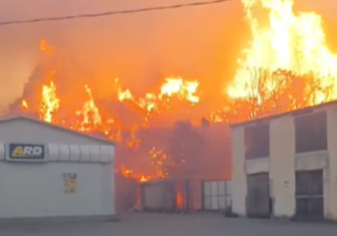 Sono ore infernali in Sicilia. Sono 11 gli incendi in atto in Sicilia. Le province più colpite Palermo e Messina con cinque incendi e poi Caltanissetta con un incendio. Nel palermitano gli incendi sono divampati a Termini Imerese in contrada Cozzo Ligneri, a Cefalù in contrada Pizzo Sant’Angelo e contrada Vatalara, a Monreale in contrada Miccini e fondo Zummo e a Marineo in contrada portella Suvarita. Nel messinese a Gioiosa Marea, nel capoluogo in contrada Ortoliuzzo, a San Pietro Patti in contrada Sciardi, a Villafranca Tirrena in contrada Calvaruso a Galati Mamertino in contrada Pritti, a Motta d’Affermo in contrada La Piana. Nel nisseno a Mazzarino in contrada Bubbonia.