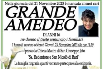 La città di San Giuseppe Jato piange la prematura scomparsa di Amedeo Grande, 16enne. Un giovane che ha lasciato un segno profondo non solo nella sua comunità ma in tutti coloro che hanno avuto la fortuna di conoscerlo. Amedeo lottava ormai da tempo contro una grave malattia che ha affrontato con coraggio e tenacia non comuni per un ragazzo della sua età. Nonostante le immense difficoltà, Amedeo non ha mai perso la speranza e la voglia di vivere che da sempre lo contraddistinguevano.