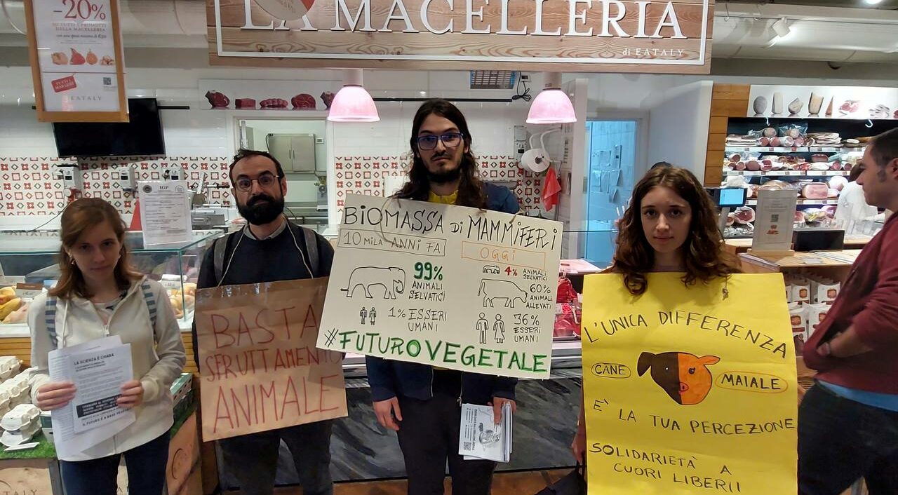 Nelle giornate di Mercoledì 1 Novembre per il World Vegan Day, e di giovedì 2 Novembre per il Giorno dei Morti, numerose attiviste di Ribellione Animale sono entrate nei supermercati di otto città italiane per interrompere la normale quotidianità della spesa chiedendo un sistema alimentare a base vegetale, etico e sostenibile. Le azioni si sono svolte in contemporanea nelle città di Cuneo, Genova, Mantova, Milano, Palermo, Torino, Trento e Trieste.