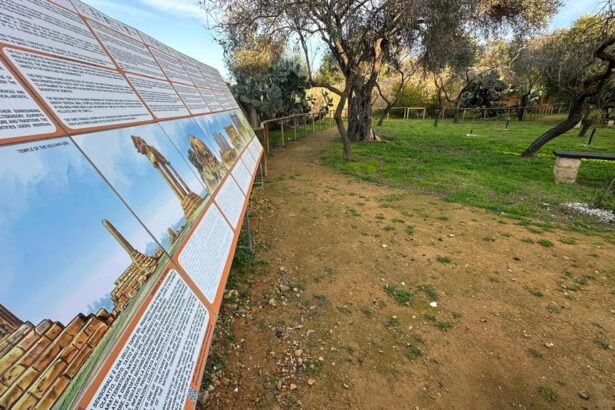 Alla Valle dei Templi ora c'è il "Giardino sensoriale" per scoprire i luoghi con i 5 i sensi Un’area verde di duemila metri quadrati, all’interno della Valle dei Templi di Agrigento, a pochi passi dal tempio della Concordia, per consentire l’esplorazione e la conoscenza completa dei luoghi attraverso l’uso dei cinque sensi. È il “Giardino sensoriale”, che sarà inaugurato giovedì 14 dicembre alle ore 11 nel Parco archeologico di Agrigento, Case Paci, via Sacra.