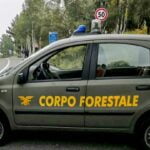 Il personale del distaccamento di Carini del Corpo forestale della Regione Siciliana, con il supporto tecnico di funzionari dell'Arpa (Agenzia regionale per la protezione dell'ambiente), ha sottoposto a sequestro un impianto di recupero rifiuti, un manufatto in cemento armato e un'area limitrofa allo stesso impianto, in territorio di Partinico, nel Palermitano.