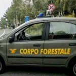 Il personale del distaccamento di Carini del Corpo forestale della Regione Siciliana, con il supporto tecnico di funzionari dell'Arpa (Agenzia regionale per la protezione dell'ambiente), ha sottoposto a sequestro un impianto di recupero rifiuti, un manufatto in cemento armato e un'area limitrofa allo stesso impianto, in territorio di Partinico, nel Palermitano.