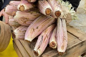 U carduni vruricatu di Pioppo, rappresenta un prodotto di nicchia che va quindi tutelato e valorizzato per le sue evidenti potenzialità e vocazioni gastronomiche