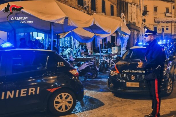 I Carabinieri di Palermo hanno arrestato un 37enne seriale rapinatore di anziane signore grazie alle telecamere di sicurezza che hanno permesso di rintracciarlo