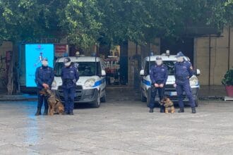 Ancora un'altra operazione di contrasto all'abusivismo commerciale e alla vendita di merce contraffatta della Polizia Municipale di Palermo. A distanza di qualche giorno, gli agenti sono tornati in corso Finocchiaro Aprile, a pochi passi dal Tribunale, sequestrando già alle prime luci dell'alba tutti i banchi di vendita che gli abusivi abitualmente, durante la notte, lasciano lungo i marciapiedi del corso, per poi riutilizzarli la mattina successiva.