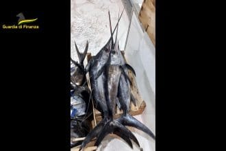 L'operazione testimonia l'impegno della Guardia di Finanza nel contrasto alla pesca illegale e al commercio di prodotti ittici non tracciabili, a tutela della salute dei consumatori