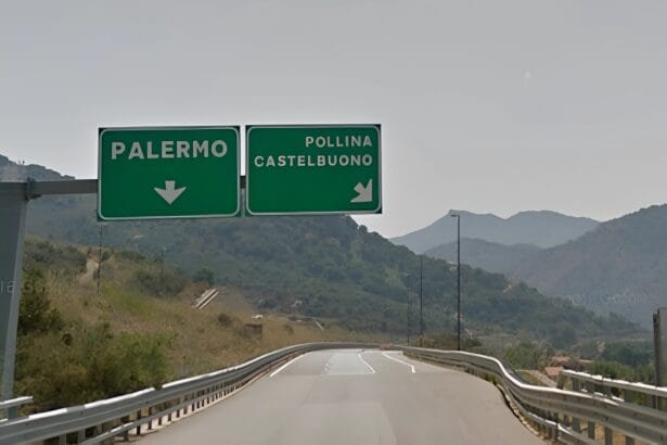 Sono stati veri e propri momenti di paura per una famiglia in vacanza in Sicilia, travolto cinghiale sulla A20 Palermo Messina