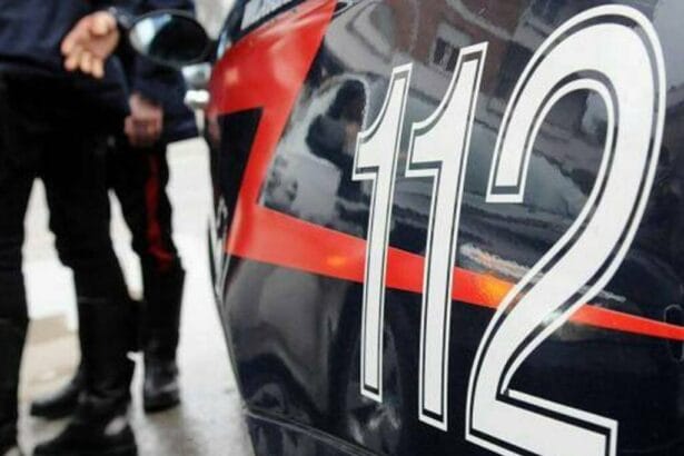 I Carabinieri del Reparto Territoriale, supportati dalle Stazioni dipendenti, dal Nucleo Ispettorato del Lavoro e dalle unità Cinofili, hanno attuato un articolato servizio di monitoraggio finalizzato alla prevenzione e al contrasto dell'illegalità diffusa.