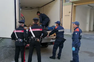 Oltre 1,3 tonnellate di pesce sequestrati a Palermo nei vari rioni da parte della Capitaneria di Porto e dei Carabinieri ad alcuni ambulanti. Il pesce veniva venduto senza autorizzazione, per questo è scattato il sequestro a opera dei militari. Le operazioni di controllo al mercato “Ballarò”, nel quartiere Brancaccio e nei pressi della stazione centrale.
