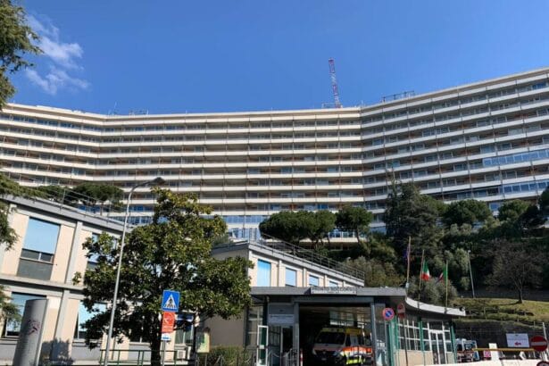 Ha del miracoloso quanto accaduto nelle scorse ore a Genova, dove un adolescente di 14 anni originario di Palermo ha potuto beneficiare di un trapianto di reni provenienti da un bambino di soli 6 anni. Il ragazzino siciliano, affetto da una grave forma di insufficienza renale, era stato trasferito d'urgenza presso il Policlinico San Martino del capoluogo ligure, dove è stato immediatamente inserito nelle liste d’attesa per il trapianto. Quando nella mattinata di venerdì è arrivata la notizia della disponibilità degli organi di un piccolo donatore presso l'Ospedale di Varese, però, si è messa in moto una vera e propria catena di solidarietà per assicurare il loro tempestivo trasferimento.