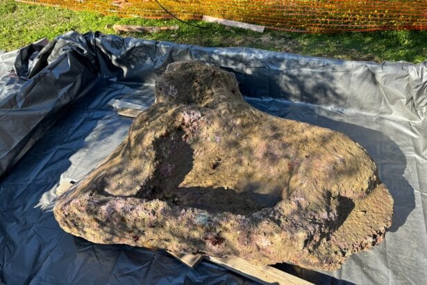 Un "tesoro" trovato e recuperato nei fondali di Agrigento (VIDEO) Recuperato altorilievo nei fondali di Agrigento. Scarpinato: «Prosegue l’azione di tutela dei beni culturali sommersi»