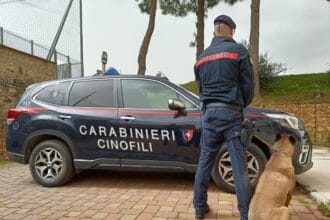 I Carabinieri della Compagnia Palermo Piazza Verdi, nell’ambito dell’assidua azione di contrasto alla criminalità diffusa, con riferimento anche alla detenzione illecita di armi, hanno arrestato un palermitano, 44enne, già noto alle forze dell’ordine, ritenuto responsabile di possesso clandestino di armi, falsificazione di monete, spendita e introduzione nello Stato di denaro falso, nonché possesso e fabbricazione di documenti di identificazione contraffatti.