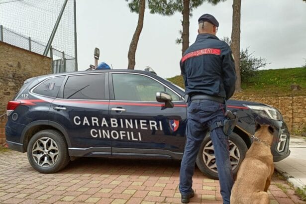 I Carabinieri della Compagnia Palermo Piazza Verdi, nell’ambito dell’assidua azione di contrasto alla criminalità diffusa, con riferimento anche alla detenzione illecita di armi, hanno arrestato un palermitano, 44enne, già noto alle forze dell’ordine, ritenuto responsabile di possesso clandestino di armi, falsificazione di monete, spendita e introduzione nello Stato di denaro falso, nonché possesso e fabbricazione di documenti di identificazione contraffatti.
