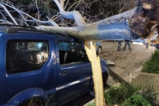 Gli effetti del fortissimo vento che soffia sulla Sicilia si fanno sentire. A Bagheria alcune auto sono state colpite da un albero