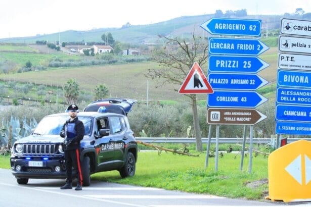 I Carabinieri della Aliquota Radiomobile di Lercara Friddi, insieme ai colleghi delle Stazioni di Vicari e Godrano, hanno tratto in arresto due persone, un 32enne per i reati di ricettazione e resistenza a Pubblico Ufficiale e un 22enne per ricettazione.