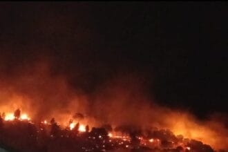 Secondo una prima sommaria stima sarebbero già oltre 350 gli ettari di bosco e macchia mediterranea ridotti in cenere