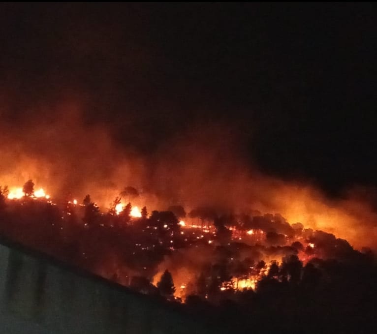 L'incendio è divampato nel primo pomeriggio e si sta estendendo rapidamente a causa del vento