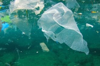I divieti di fare il bagno rimarranno in vigore per l’intera stagione balneare, dal primo maggio al 31 ottobre