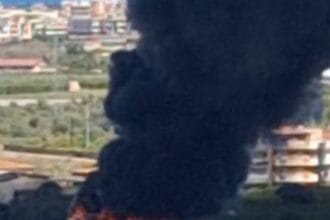 Un incendio è scoppiato in via Conte Federico, nel quartiere Brancaccio di Palermo. Il rogo si è sviluppato, per ragioni ancora da accertare, non lontano da un’azienda di elettronica e le fiamme avrebbero coinvolto anche un capannone presente in zona.