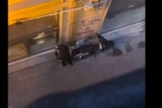 Un nuovo tentativo di furto ha scosso il centro storico di Palermo. Un ladro ha cercato di forzare la porta di un ristorante, ma è stato costretto alla fuga