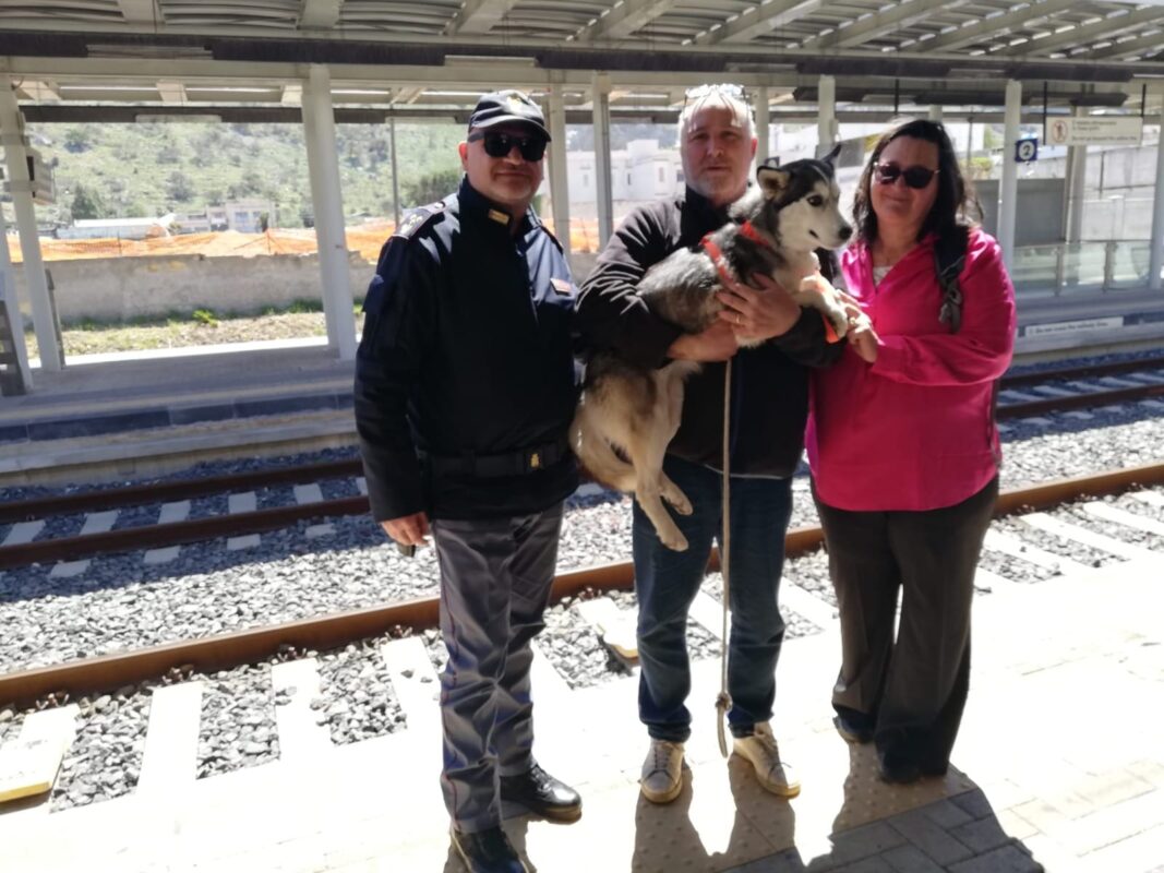 Una brutta avventura quella vissuta da Karina, meticcia di circa 9 mesi, e dalla sua famiglia adottiva. La cucciola si era rifugiata all’interno della stazione metropolitana “Cardillo” di Palermo e vagava impaurita sulle rotaie. Karina però si è fidata dei due agenti della Polizia Ferroviaria di Palermo intervenuti, che l’hanno rassicurata con coccole e abbracci prima di affidarla ai proprietari.