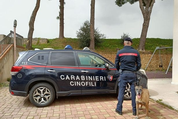 Canile abusivo nel Palermitano, sequestro e multa I Carabinieri di Montelepre, insieme ai colleghi del NAS e di personale del Dipartimento di Prevenzione Veterinaria dell’Asp di Palermo, durante i controlli nelle aree rurali dei comuni di Montelepre e Giardinello, hanno sequestrato un canile abusivo.
