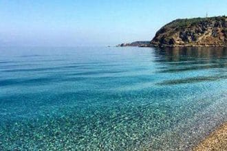 Per il quarto anno consecutivo Milazzo trionfa nella City Nature Challenge classificandosi al primo posto in Italia per osservazioni naturalistiche e specie individuate