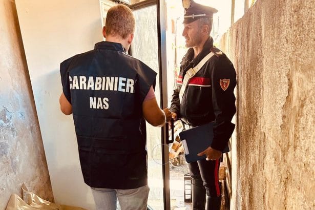 Controlli dei Nas nei panifici di Palermo durante Ognissanti, riscontrate gravi carenze igienico-sanitarie e presenza di blatte in un laboratorio