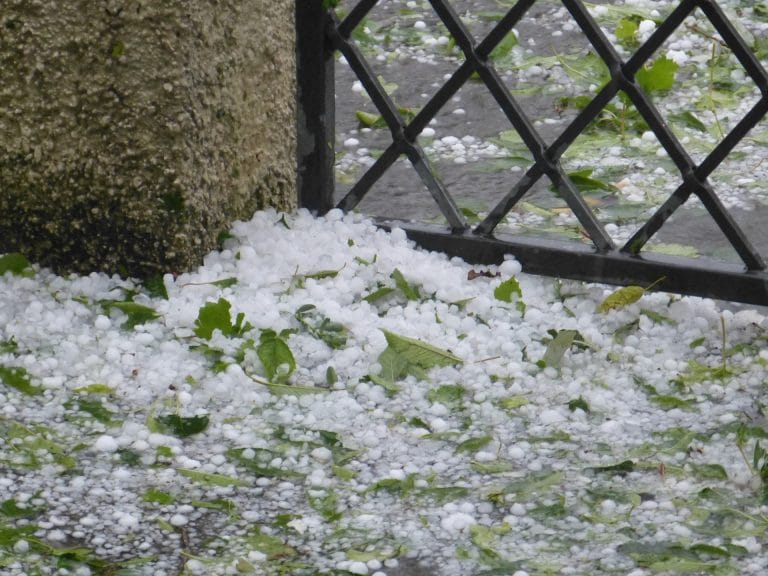 hail 189519 1920