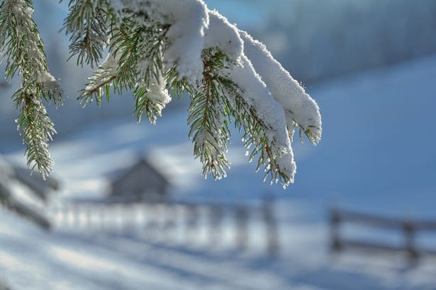 Meteo Sicilia: irruzione artica e possibile neve per Natale Brusco cambiamento meteo in Sicilia: neve, venti forti e mareggiate in arrivo. Possibile bianco Natale? Le previsioni e l'allerta meteo